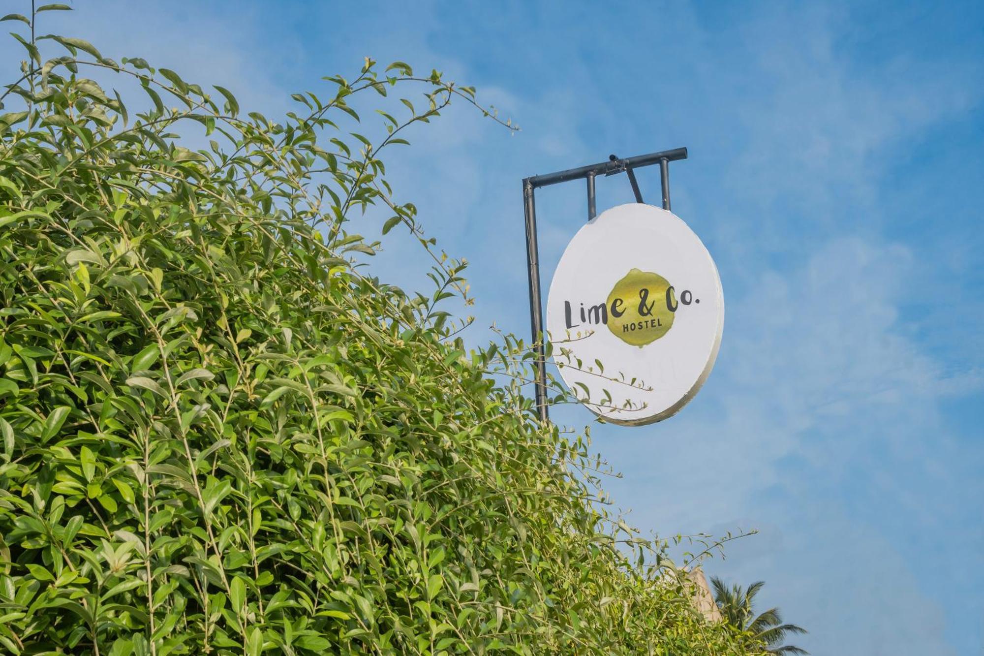 Lime & Co *