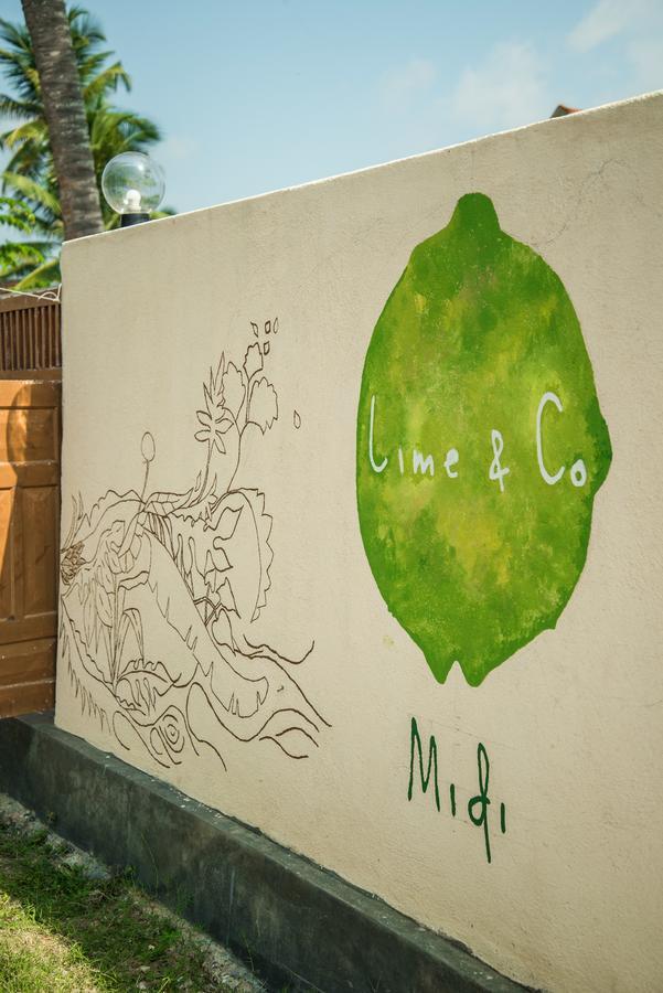 Lime & Co Hostel